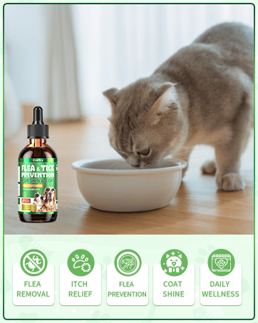 oral flea treatment for dogs and cats