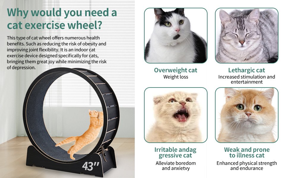 cat wheels for indoor cats