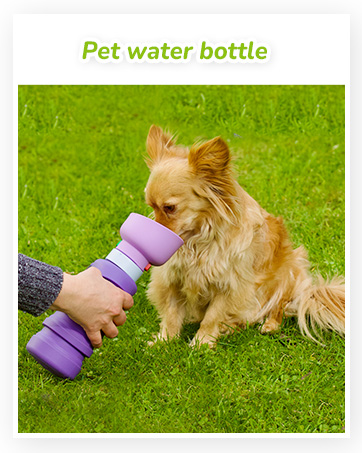 water bottle