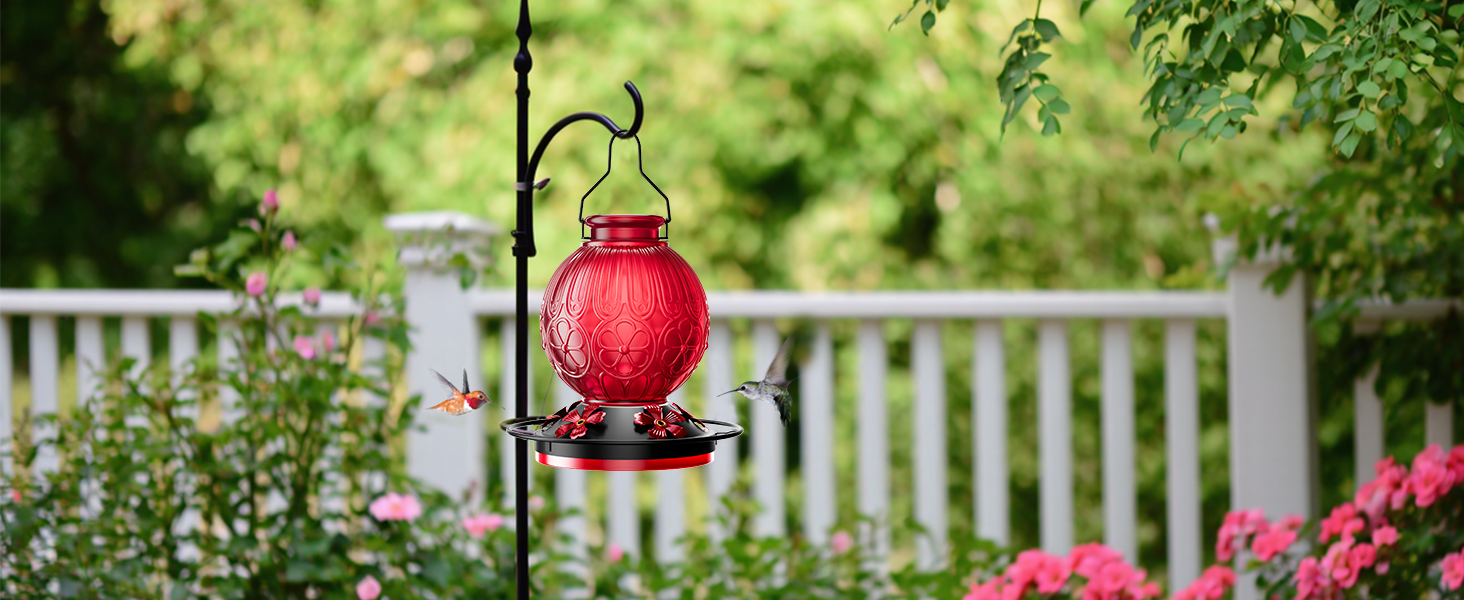 humming bird feeders for outdoors