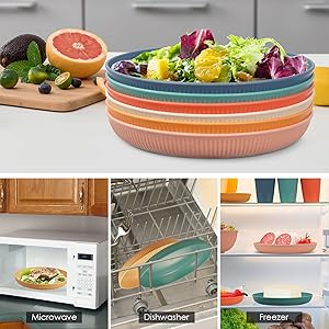 Dinner Plates