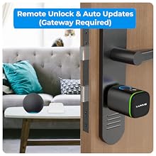 Lumive Simplex Remote Unlock