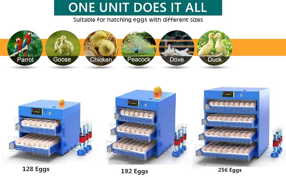 Eggs Automatic Egg Incubator