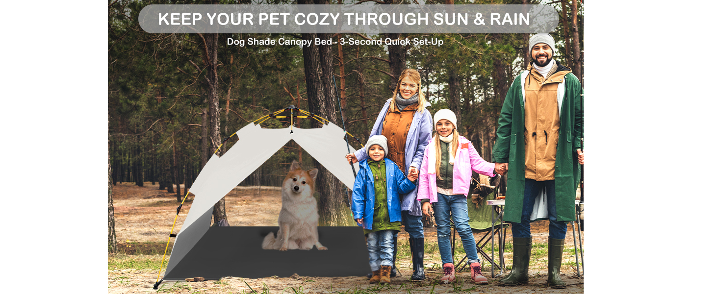 dog-bed-canopy