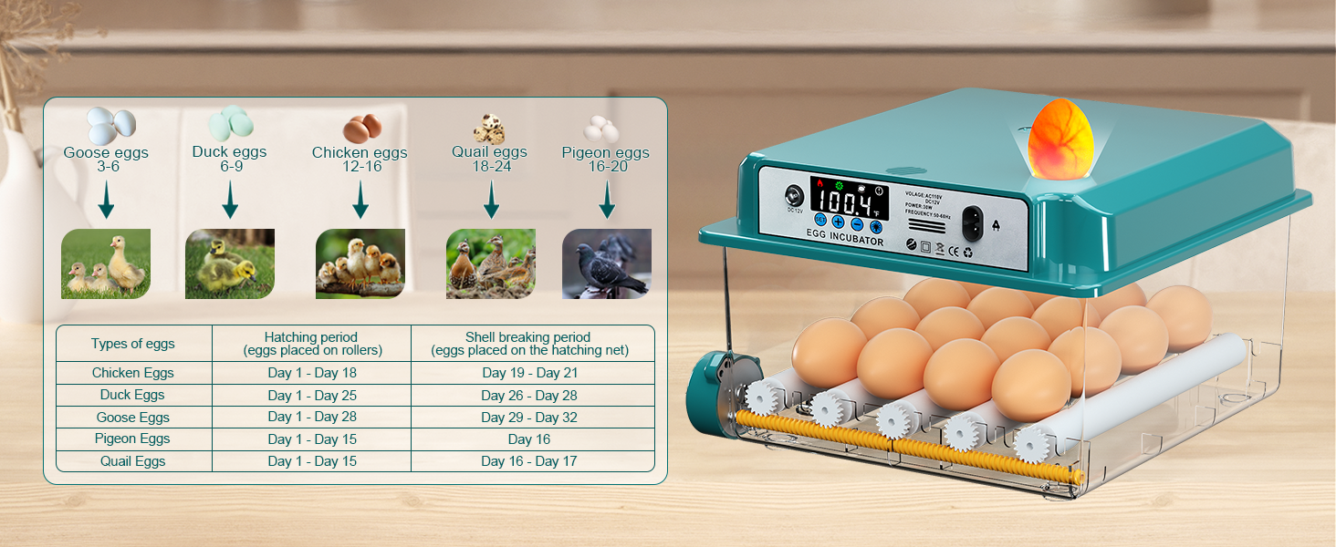 Large manufacture image 2