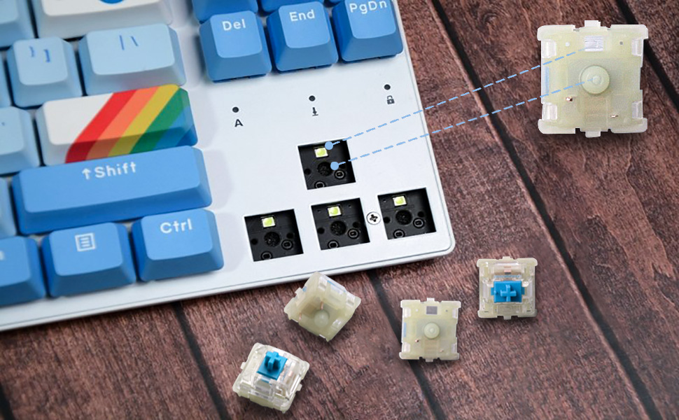 Blue MX Switches