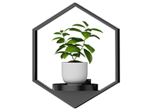 plant frames wall decor