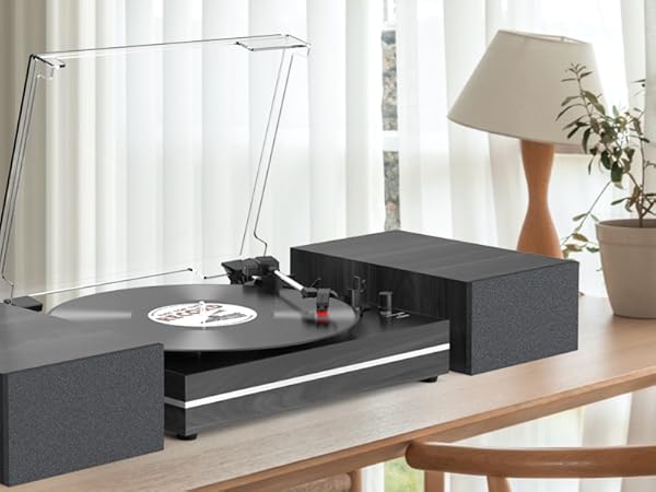 Amazon.com: Vinyl Record Player with Dual Separate Stereo
