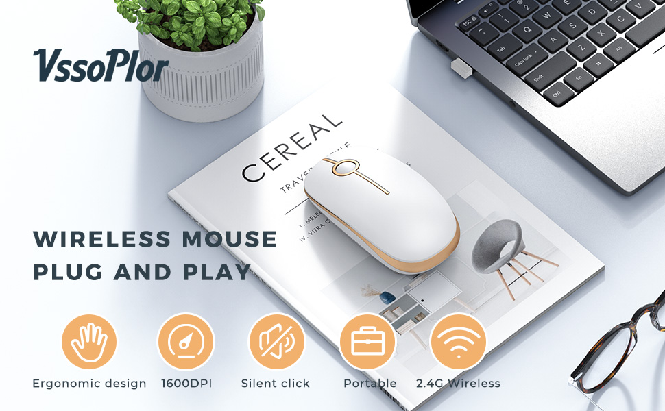 mouse