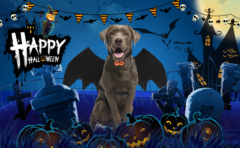 Dog Bat Wing Costume for Halloween