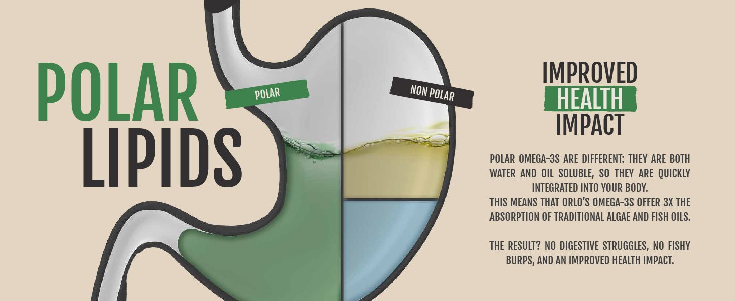 Omega 3 Omega3 Omega-3 Omega 3s Vegan DHA Brain EPA Algae Fish Oil Prenatal Lactation Breastfeeding