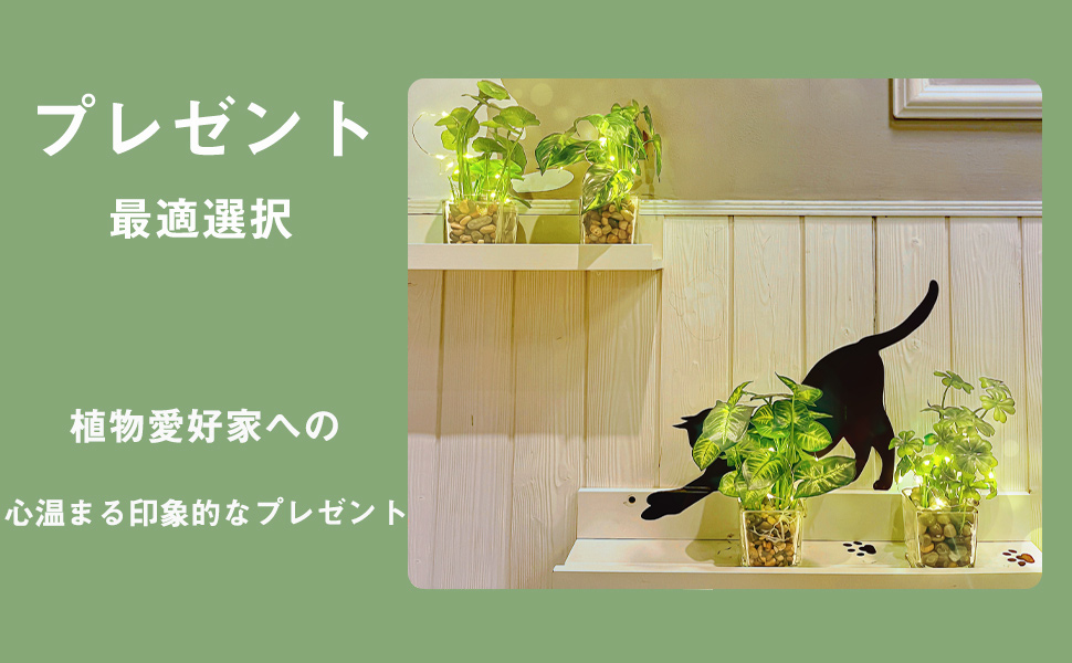 Amazon｜Aicvhin 人工観葉植物 光触媒 プレミアム LEDライト付き