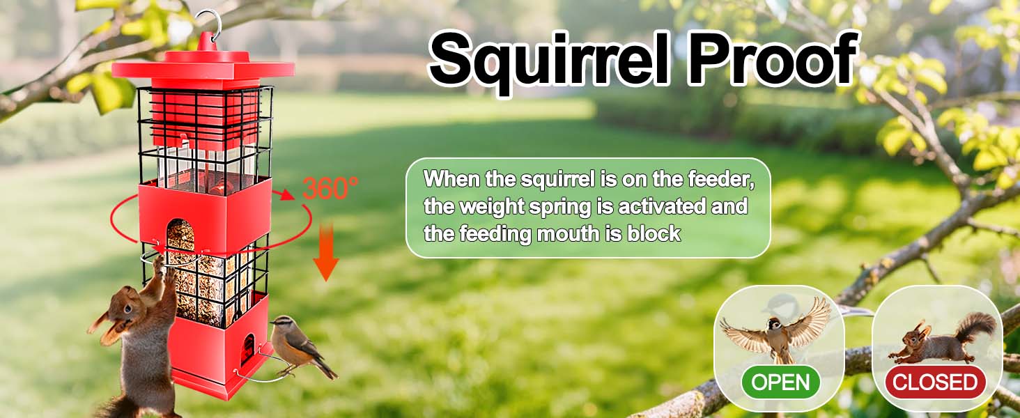 Squirrel Proof Bird Feeder, Metal Bird Feeders for Outdoor Hanging