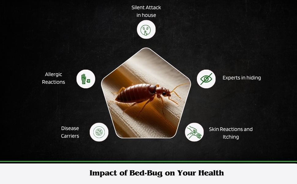 Imapct Of Bed Bug on your Health