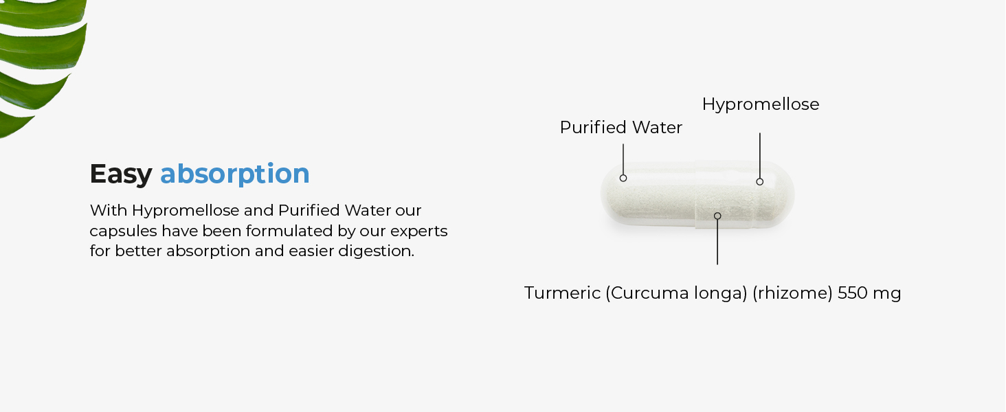 organic turmeric powder curcuma turmeric gummies joint supplement ceylon cinnamon capsules joint 