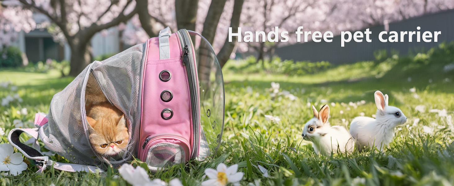 pet backpack carrier expandable