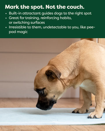puppy pads, pee pads for dogs, dog pads, dog pee pads, pee pads, wee wee pads for dogs, potty pads