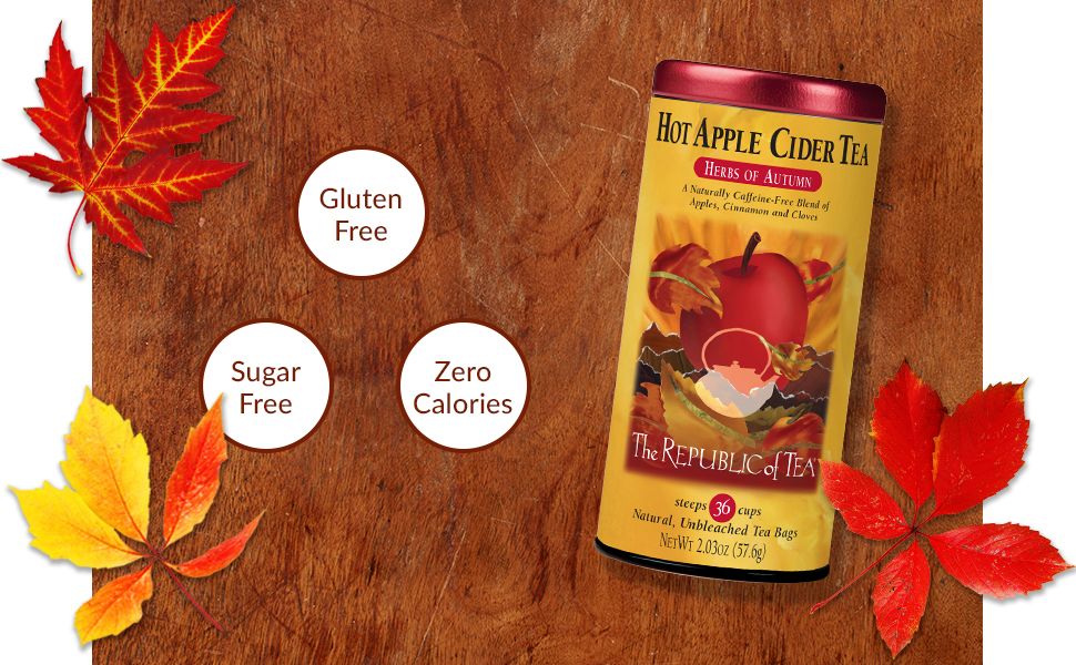 The Republic of Tea Hot Apple Cider