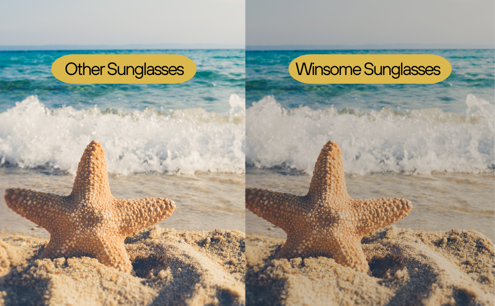 SPN-BFCC UV Protection Sunglases