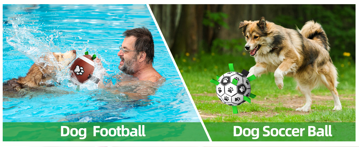 dog soccer ball