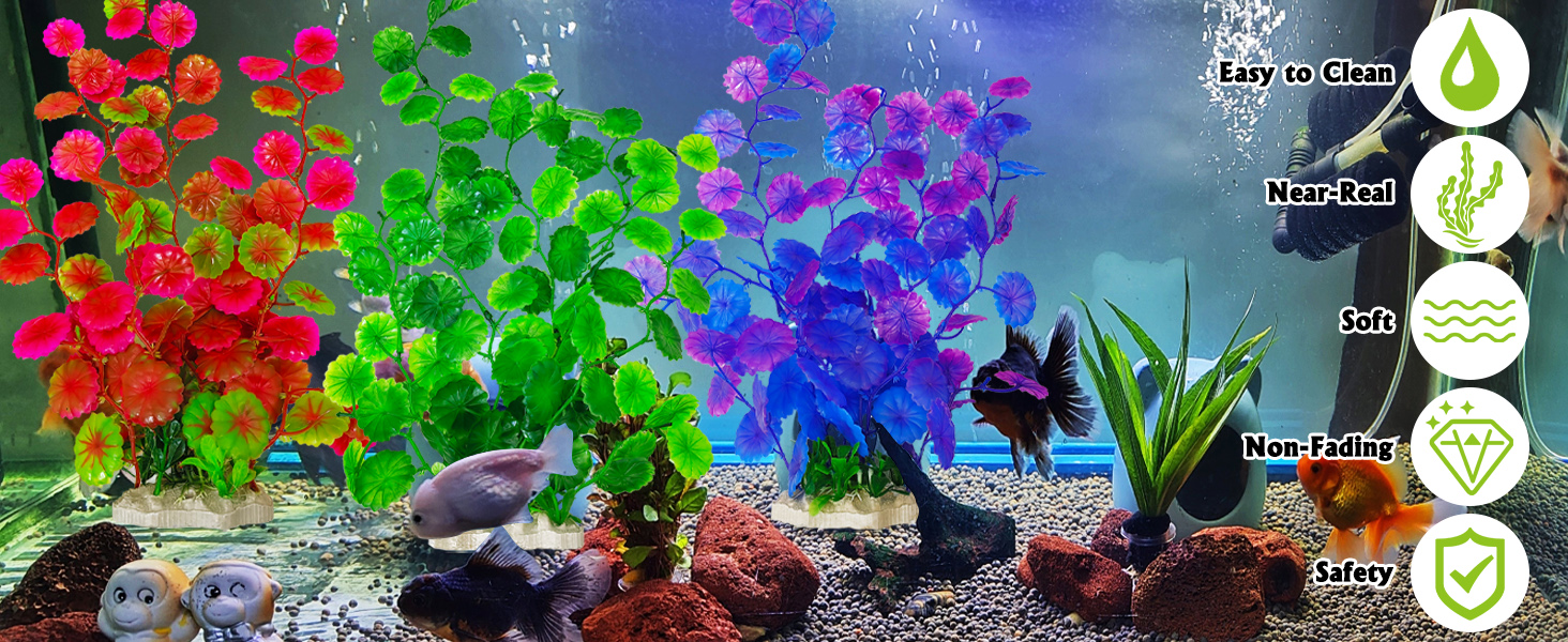 Large Aquarium Plants