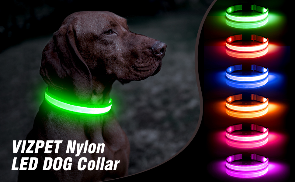 led vizpet dog collars