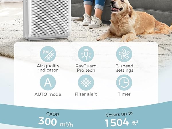 air purifier powerful purify