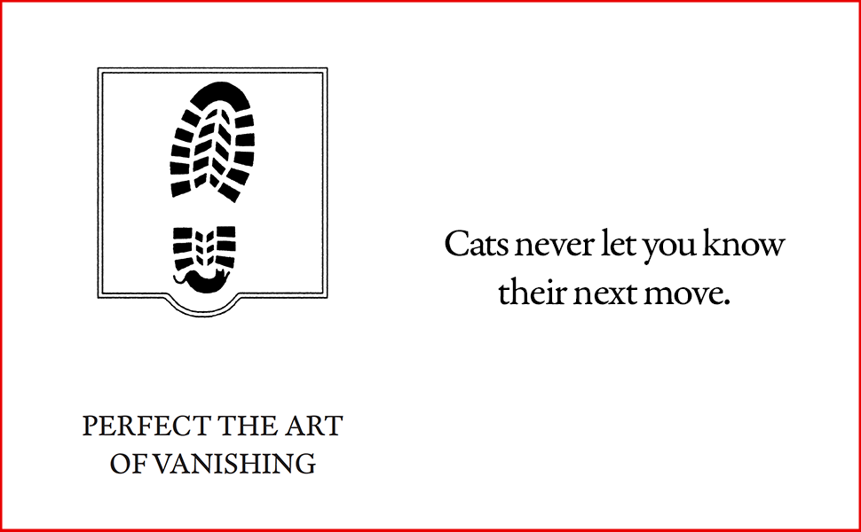 cats3