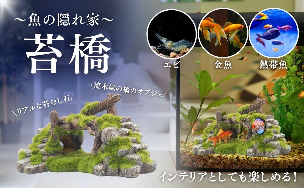 古い水槽　アクアリウム　アルナ　古道具　アンティーク　シャビー　メダカ　使用可能 Amazon | Yjhyuxi 水槽 セット 小型 アクアリウム【インボイス