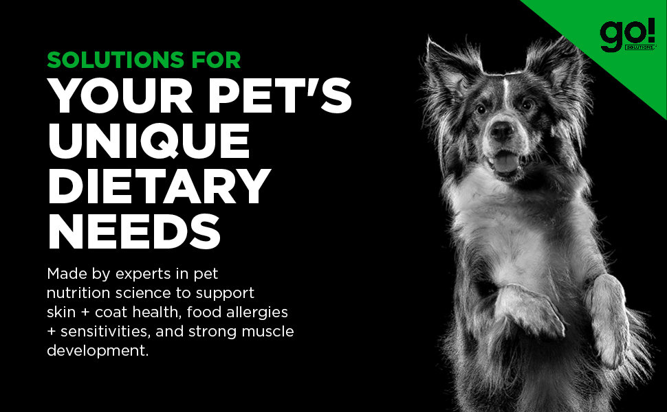 Solutions for your pet's unique dietary needs