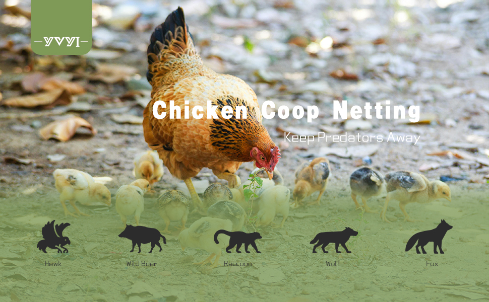 (2024) YVYI 50'x50' Netting for Chicken Coop, Poultry