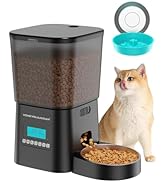 Automatic pet feeder with transparent container filled with kibble, digital display, and attached food bowl. Separate teal pet bowl and cat shown nearby.