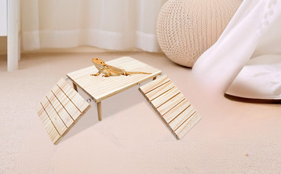 Bearded Dragon Basking Platform