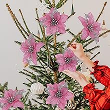 Poinsettia Christmas Decorations