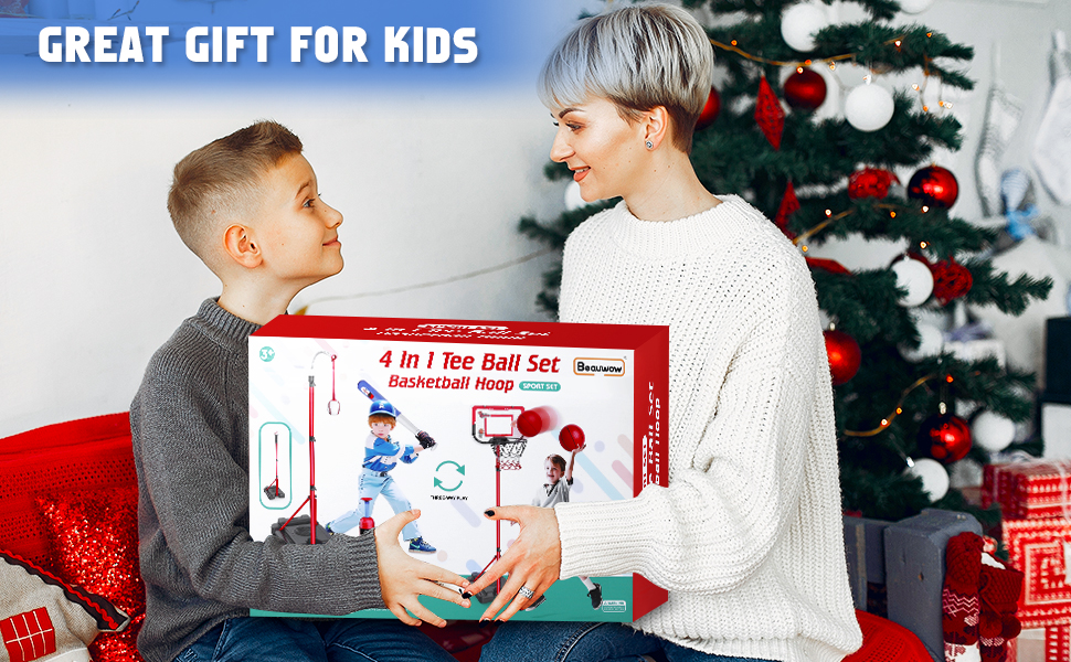 4 in 1 Basketball Hoop