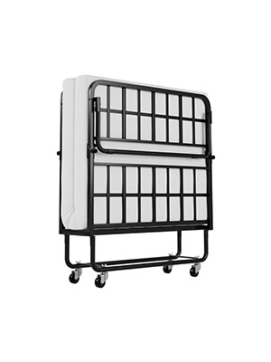 Ferlizer Folding Bed