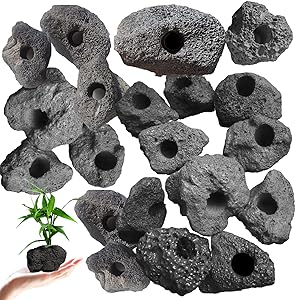 Amazon | TOMMYFIELD 水草 おもり 溶岩石 水槽 アクアリウム