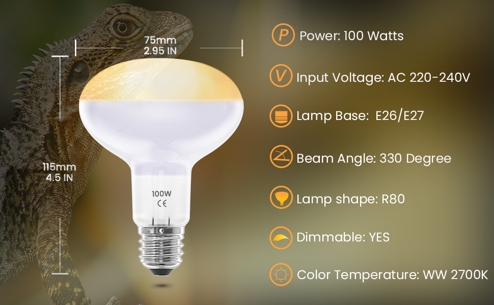 reptile bulb