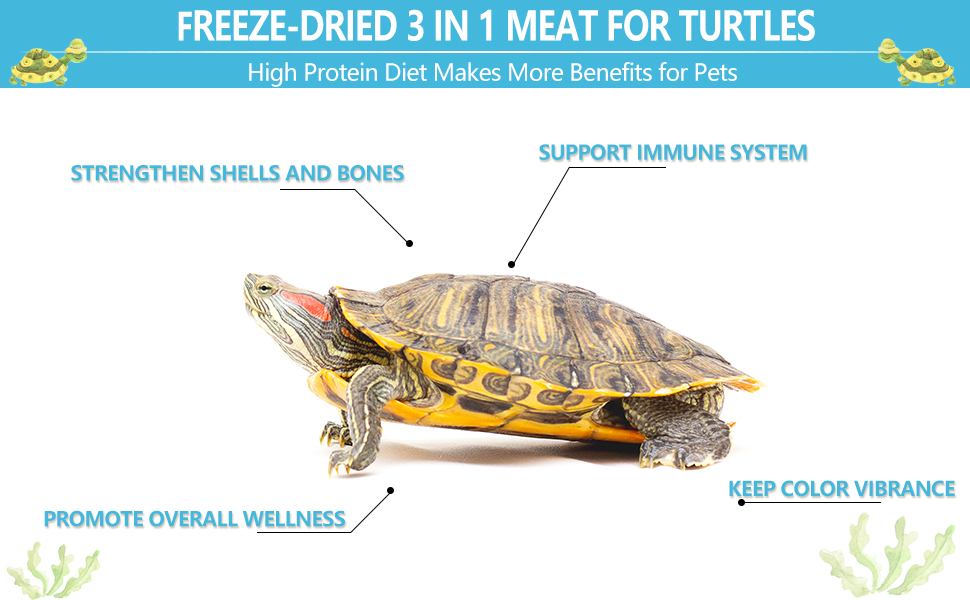 Chicken, Duck, and Shrimp - Healthy Treats for Turtles