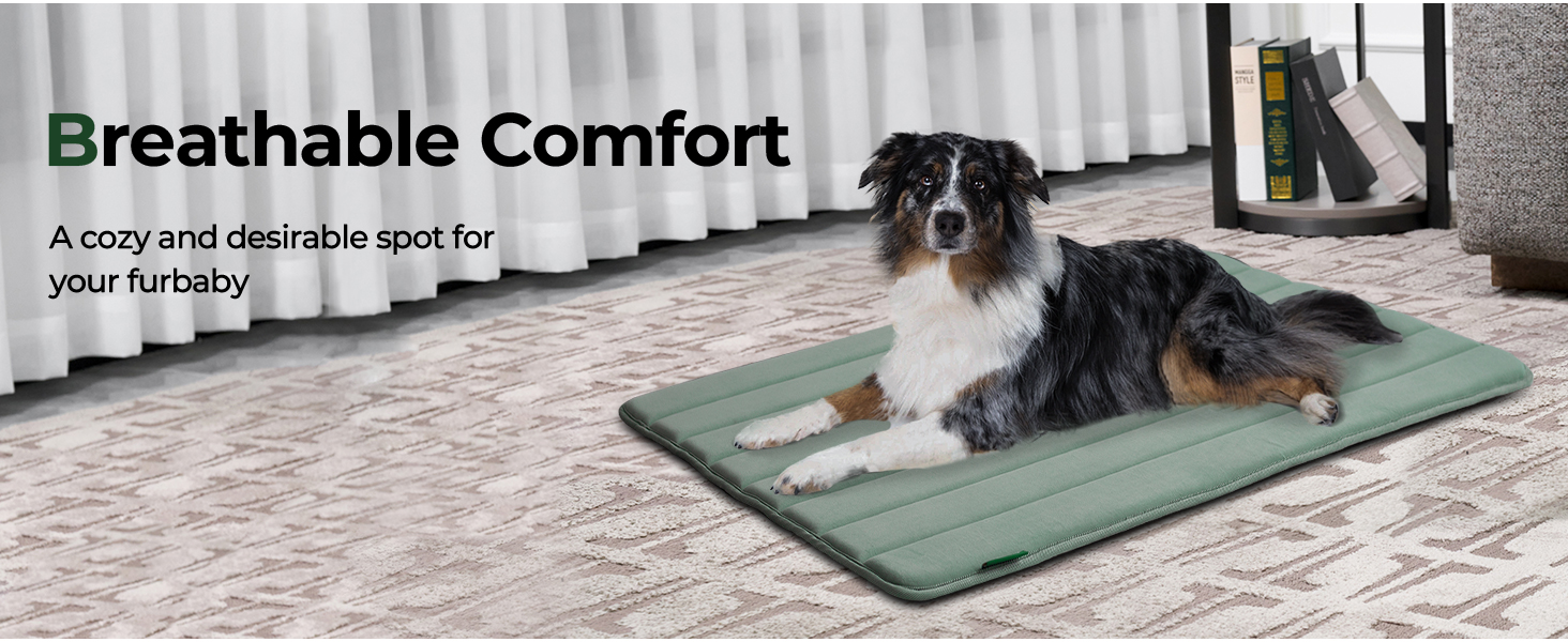 Dog Crate Mat