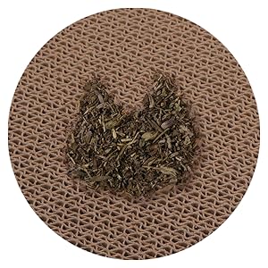 Tabla para rascar gatos con hierba gatera gratis