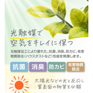 Amazon｜October1st フェイクグリーン 観葉植物 人工 3点セット