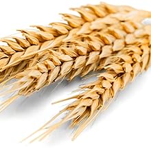 skincare siero viso acido ialuronico vitamina c antirughe antimacchia idratante illuminante Ritalia