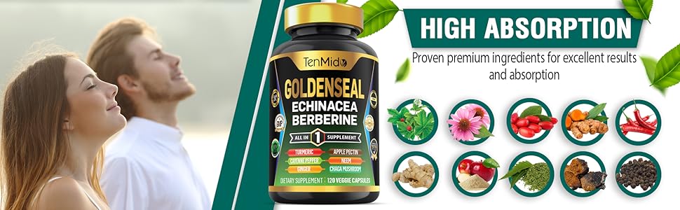 echinacea goldenseal golden seal goldenseal root golden seal capsule goldenseal root powder organic