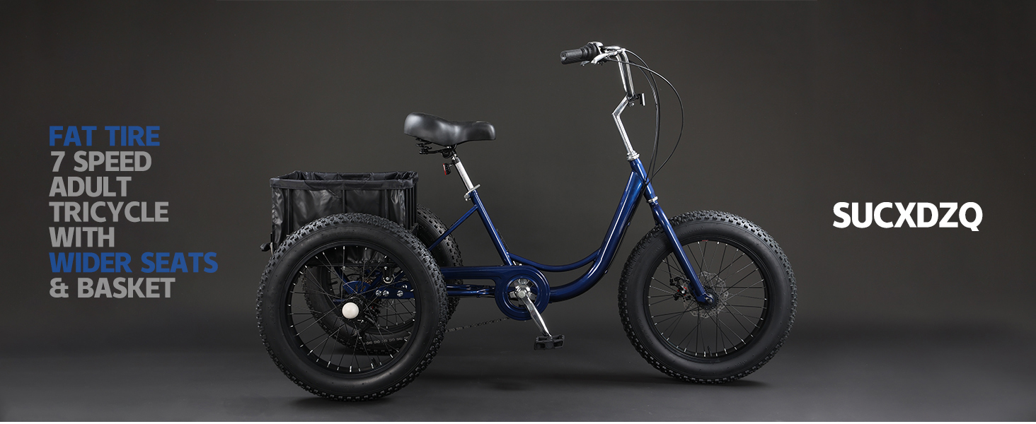 Adult Tricycle
