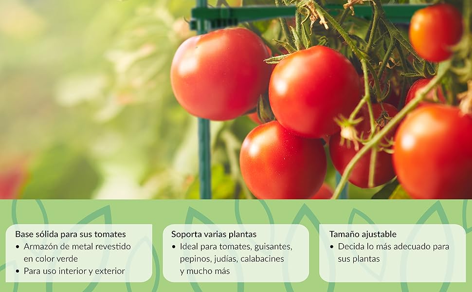 Jaula para tomates