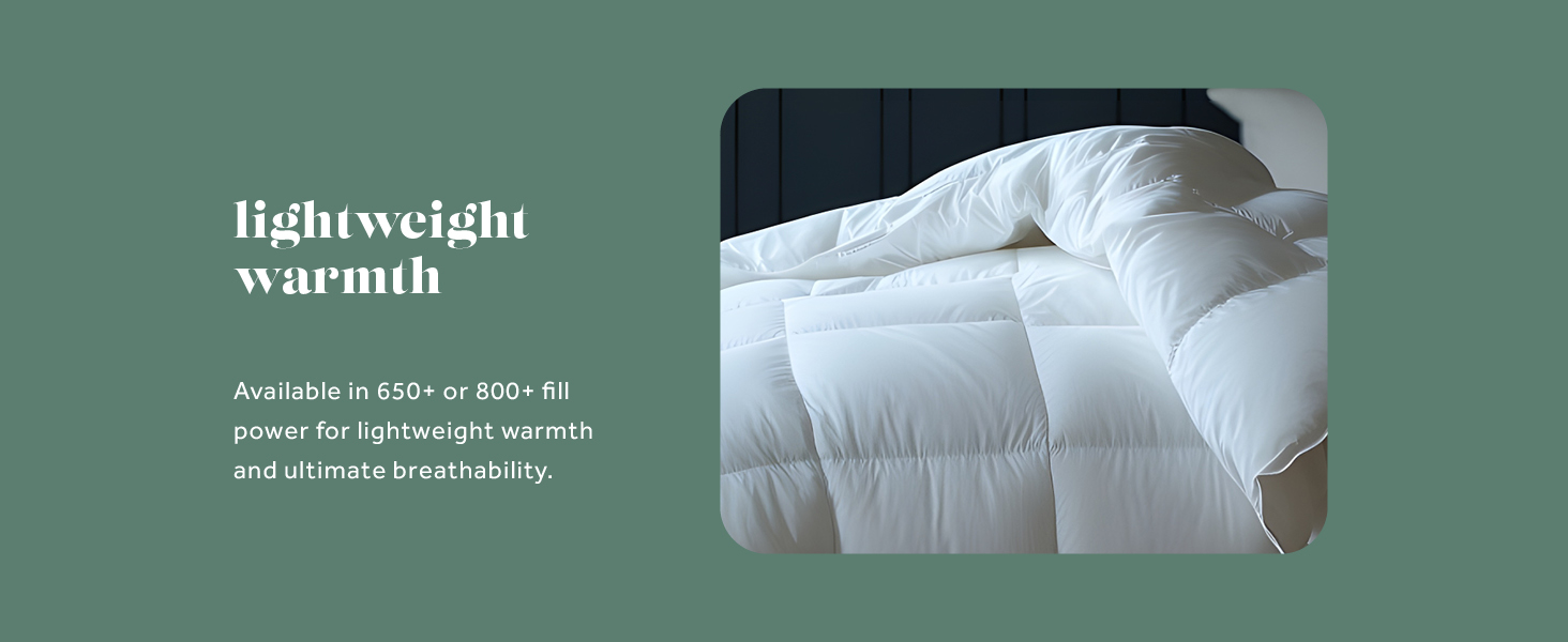 ComfyDown Goose Down White Comforter - All Season Washable Duvet Insert with Corner Tabs - King
ComfyDown Goose Down Whi 850beb15 4f9f 4214 9eeb 06f7430ebe68. CR0,0,1464,600 PT0 SX1464 V1