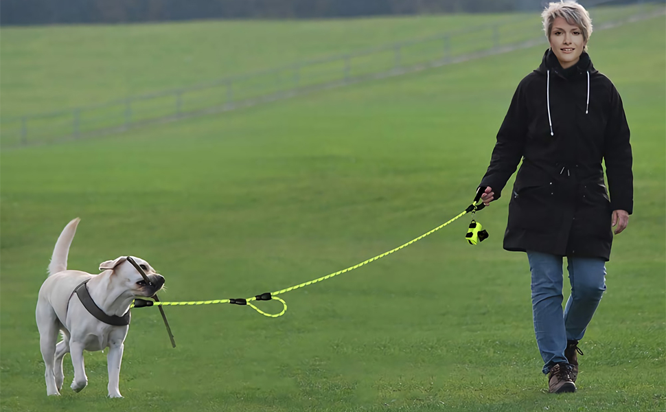 DDSCOLOUR Heavy Duty Dog Leash 56ft Long With Double Traffic Handle