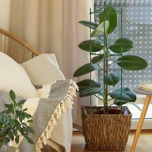 tomato cage,garden trellis