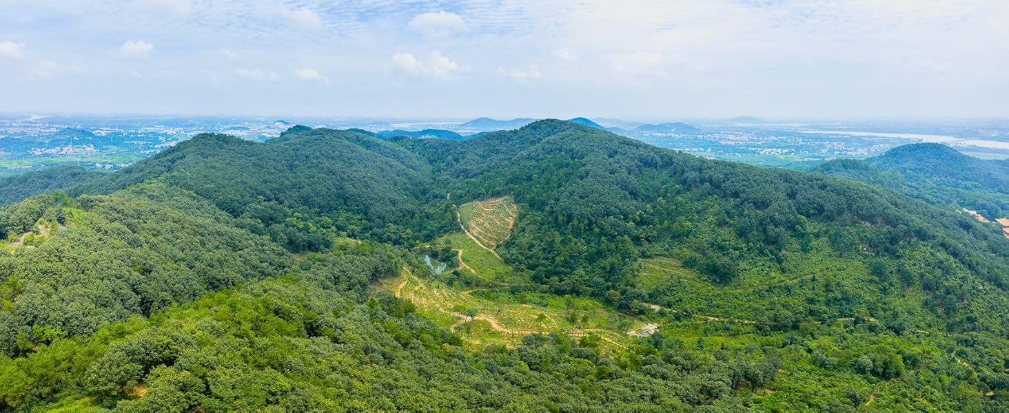 Large manufacture image 7